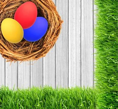 Easter eggs in nest over white wooden background Stock Photos