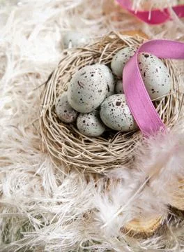 Easter eggs in a nest Stock Photos
