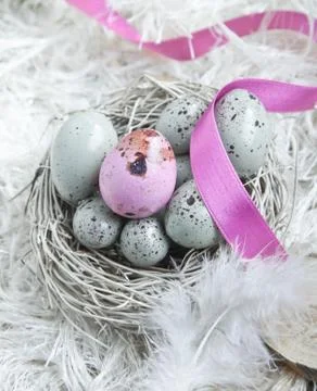 Easter eggs in a nest Stock Photos