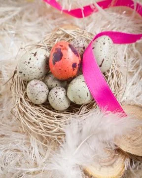 Easter eggs in a nest Stock Photos