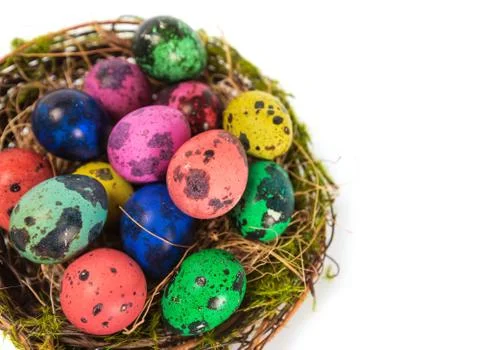 Easter eggs in the nest Stock-Fotos