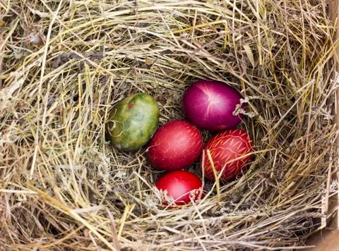 Easter eggs in the nest Stock Photos
