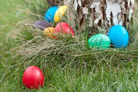 Easter eggs in nest Stock Photos