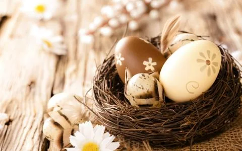 Easter eggs in nest Stock Photos