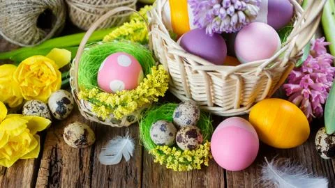 Easter eggs in nest Stock Photos