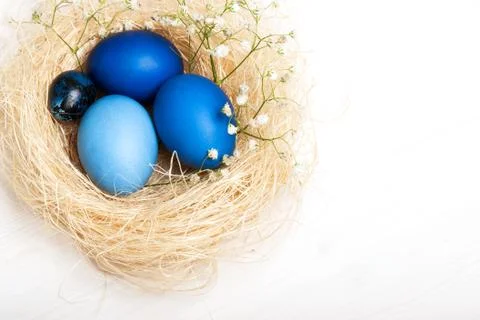 Easter eggs in a nest Stock Photos