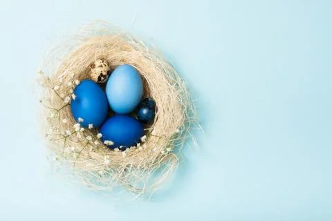 Easter eggs in a nest Stock Photos