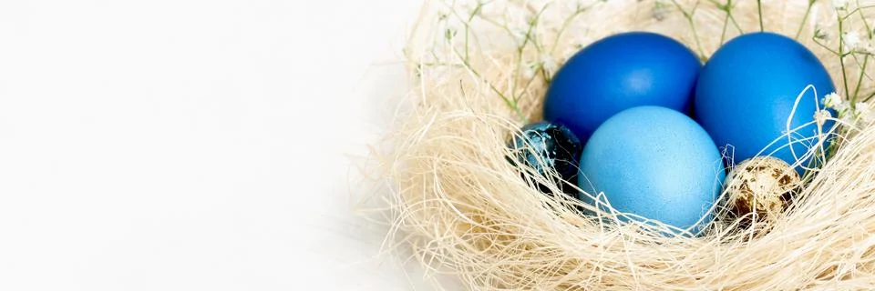 Easter eggs in a nest Stock Photos