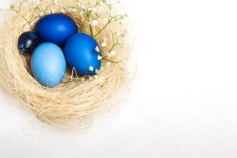 Easter eggs in a nest Stock Photos