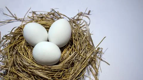 Easter eggs in the nest Stock Photos
