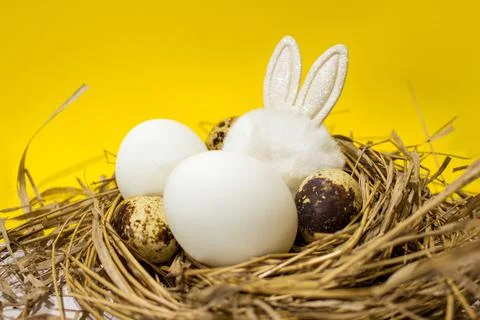 Easter eggs in the nest Stock Photos