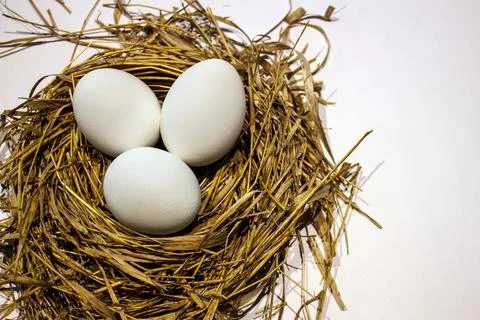 Easter eggs in the nest Stock Photos