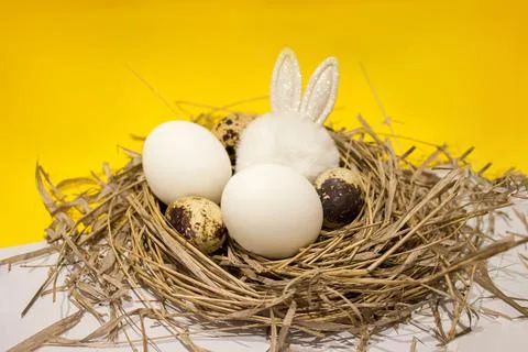 Easter eggs in the nest Stock Photos