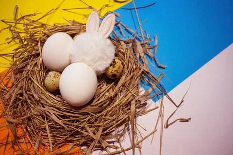 Easter eggs in the nest Stock Photos