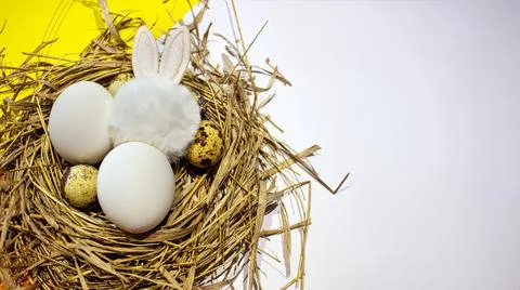 Easter eggs in the nest 스톡 사진