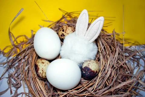 Easter eggs in the nest 스톡 사진