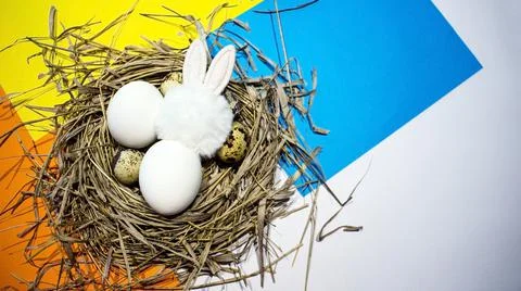 Easter eggs in the nest Stock Photos