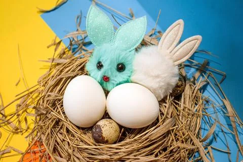 Easter eggs in the nest Stock Photos