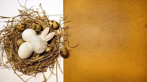 Easter eggs in the nest 스톡 사진