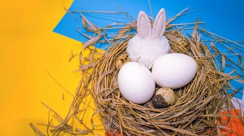 Easter eggs in the nest 스톡 사진