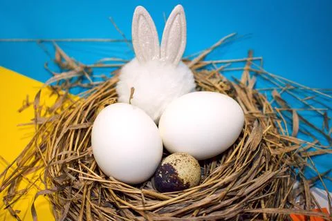 Easter eggs in the nest 스톡 사진