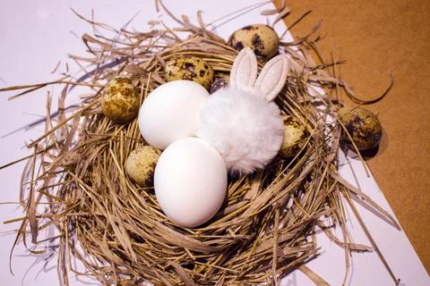 Easter eggs in the nest 스톡 사진