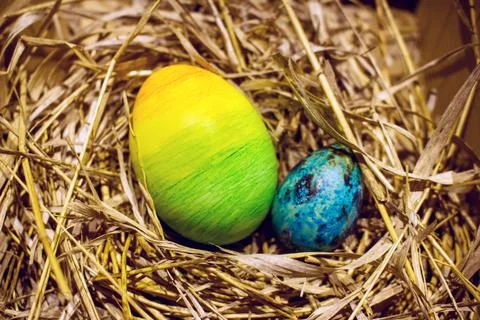 Easter eggs in the nest 스톡 사진