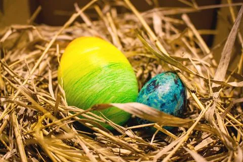 Easter eggs in the nest 스톡 사진