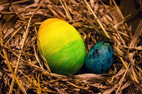 Easter eggs in the nest 스톡 사진