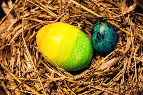 Easter eggs in the nest 스톡 사진