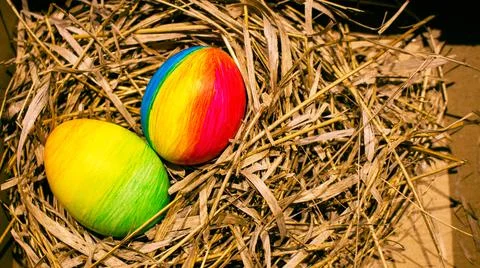 Easter eggs in the nest Stock Photos