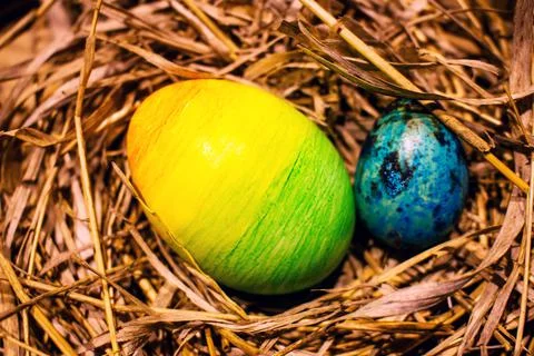 Easter eggs in the nest 스톡 사진