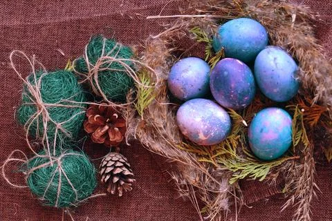 Easter eggs in the nest Stock Photos