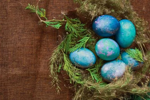 Easter eggs in the nest Stock Photos
