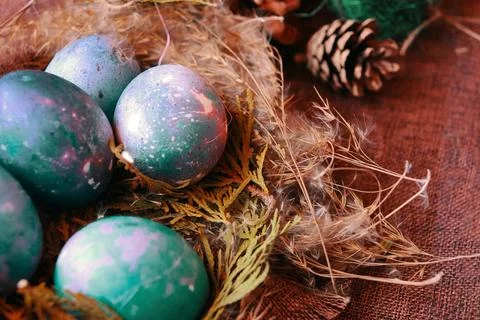 Easter eggs in the nest Stock Photos
