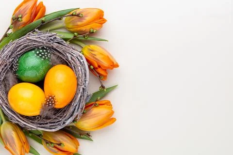 Easter eggs in the nest. Spring greeting card. Stock Photos