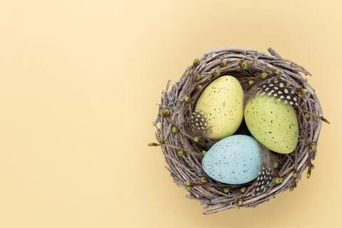 Easter eggs in the nest. Spring greeting card. Stock Photos