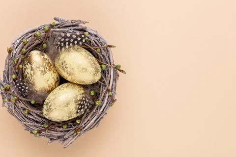 Easter eggs in the nest. Spring greeting card. Stock Photos