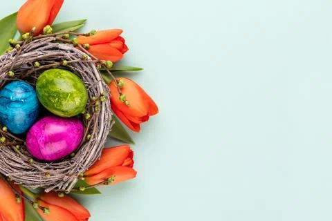 Easter eggs in the nest. Spring greeting card. Stock Photos