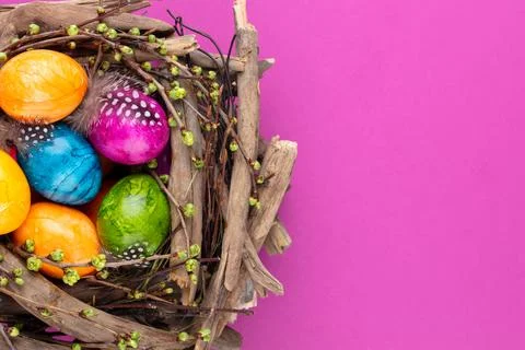 Easter eggs in the nest. Spring greeting card. Stock Photos