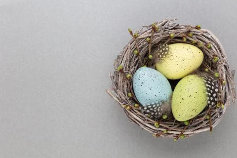 Easter eggs in the nest. Spring greeting card. Stock Photos