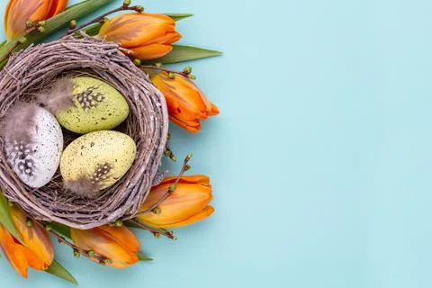 Easter eggs in the nest. Spring greeting card. Stock Photos