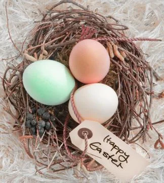 Easter eggs in a nest with tag Stock Photos
