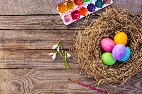 Easter eggs in nest. Top view. Stock Photos