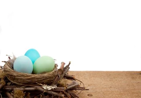 Easter eggs in a nest on a white background Stock Photos