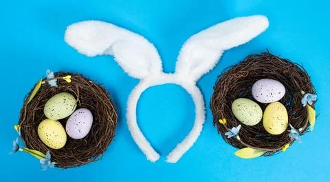 Easter eggs in nests and rabbit ears on a blue background, top view Stock Photos