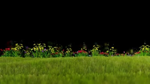 Easter eggs ongreen meadow over blue sky, particles flying, Alpha PNG Stock Footage 86201880