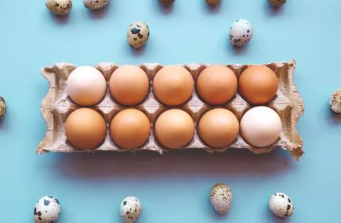 Easter eggs packing color gradient. flat lay. minimalistic design Stock Photos