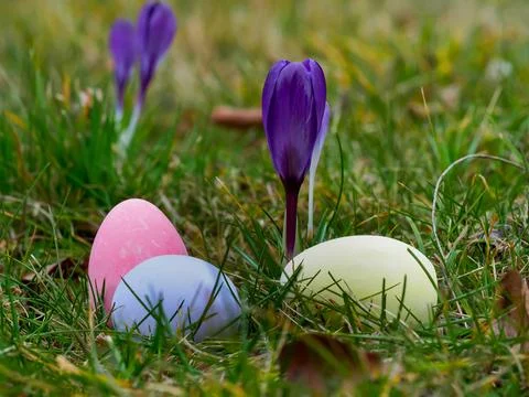Easter eggs painted in different colors lying in the grass against the back.. Stock Photos