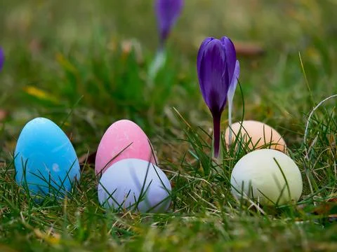 Easter eggs painted in different colors lying in the grass against the back.. Stock Photos